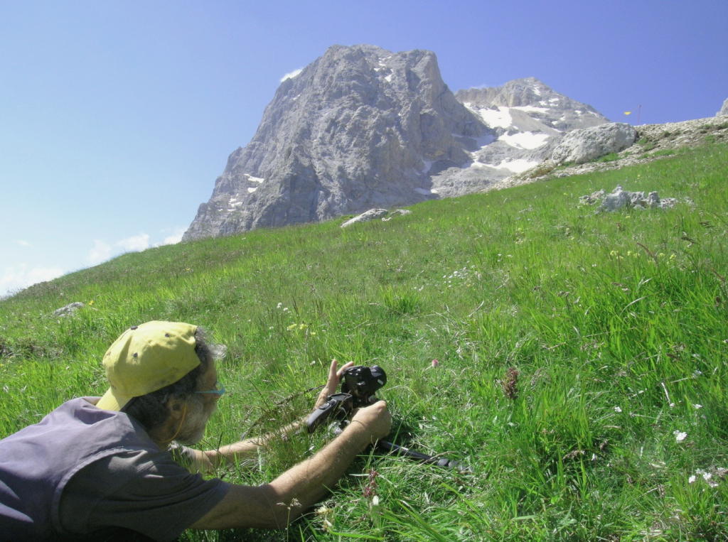 Il Gran Sasso e le orchidee - il mio omaggio al Gigante dellAppennino.